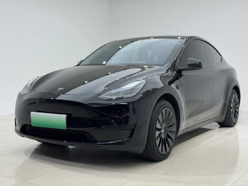 Tesla Model Y 2022 Tesla Model Y 2022 car image