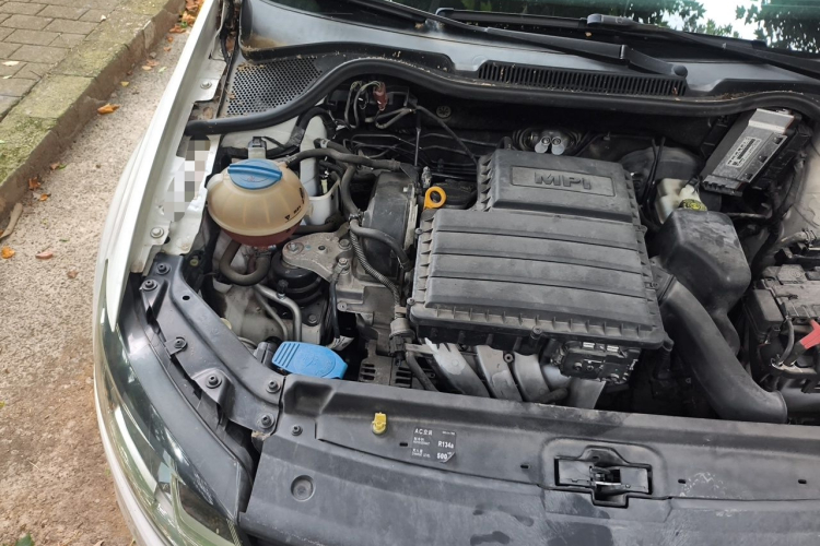 Volkswagen Polo 2015 car image #24