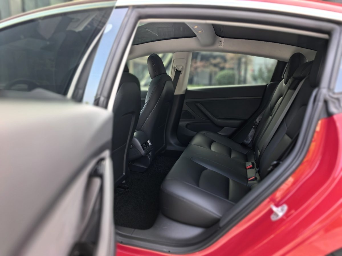 Tesla Model 3 2020 #8 Tesla Model 3 2020 car image #8