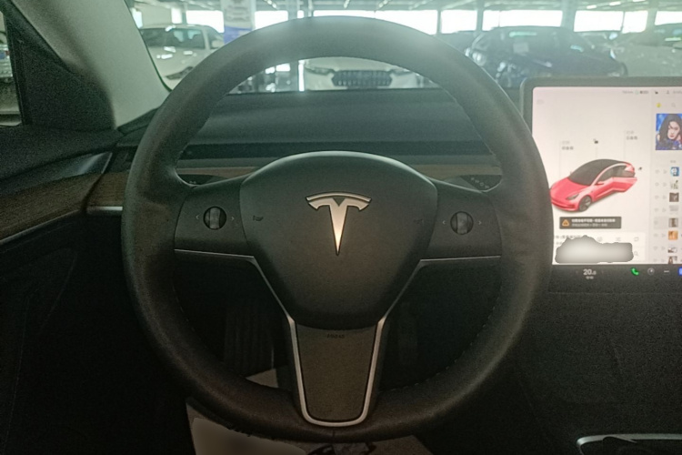 Tesla Model 3 2021 #15 Tesla Model 3 2021 car image #15