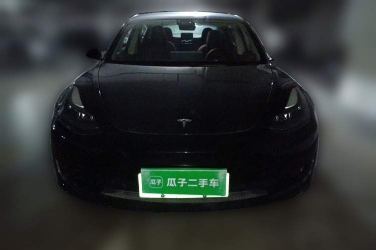 Tesla Model 3 2021 #3 Tesla Model 3 2021 immagine di auto #3