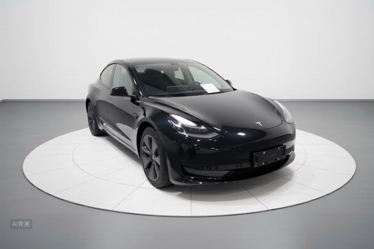 Tesla Model 3 2023 car image #4