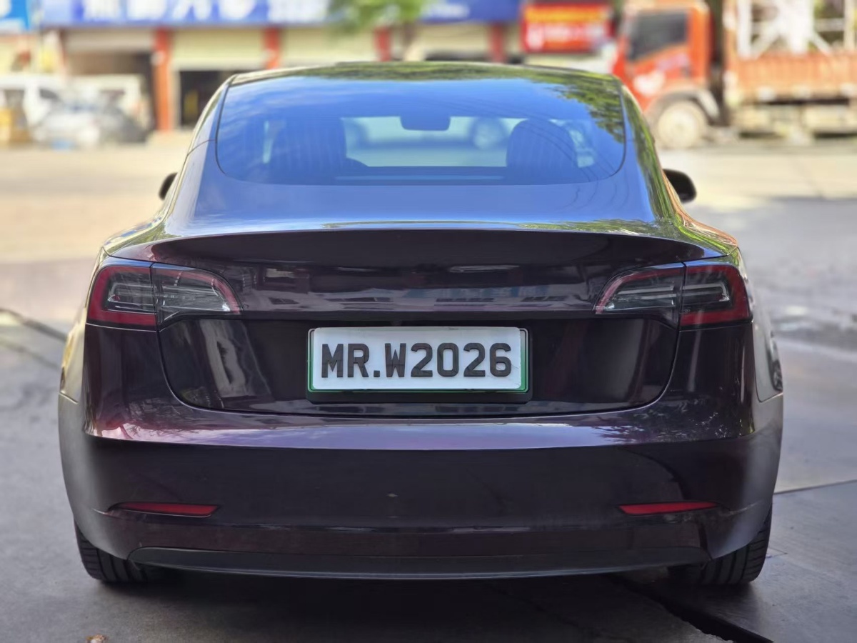 Tesla Model 3 2020 #3 Tesla Model 3 2020 car image #3