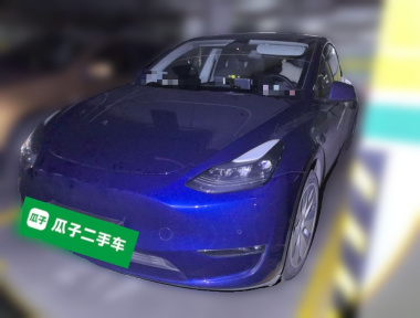 Tesla Model Y 2021 Tesla Model Y 2021 car image