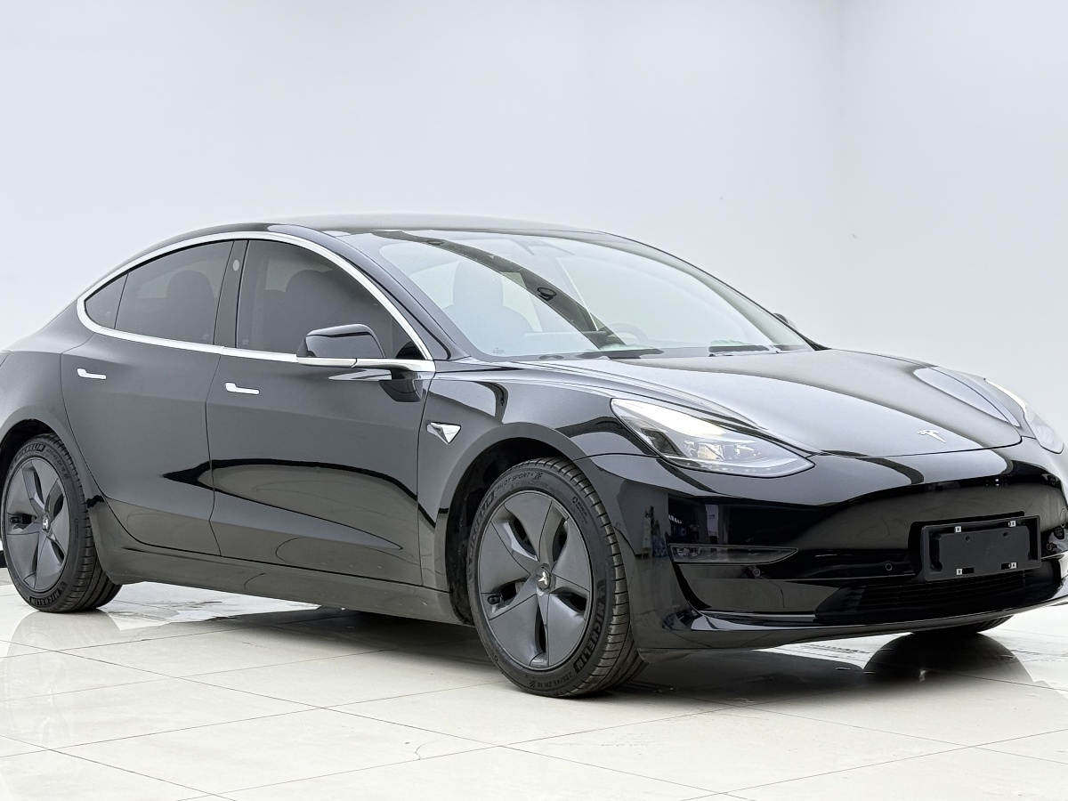 Tesla Model 3 2020 car image #3