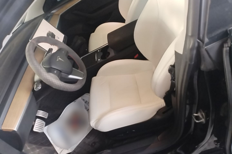Tesla Model 3 2022 car image #15
