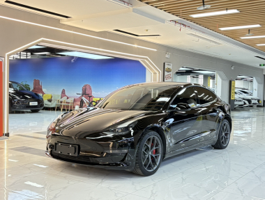 Tesla Model 3 2022 Tesla Model 3 2022 car image