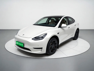 Tesla Model Y 2023 car image 
