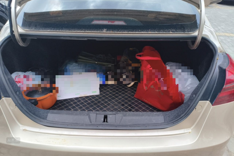 GEELY Emgrand 2020 image de voiture #21