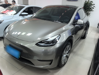 Tesla Model Y 2022 Tesla Model Y 2022 car image