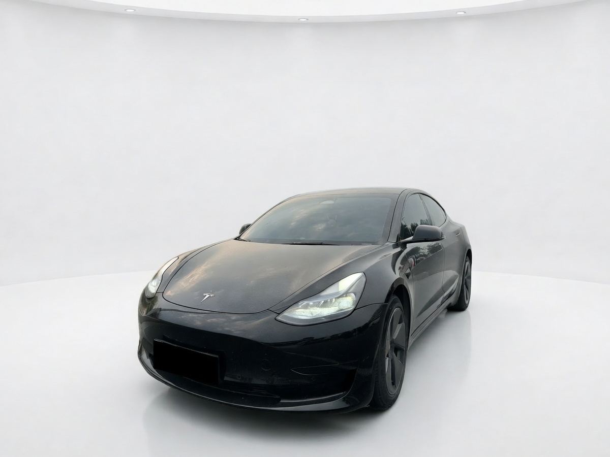 Tesla Model 3 2023 Tesla Model 3 2023 car image