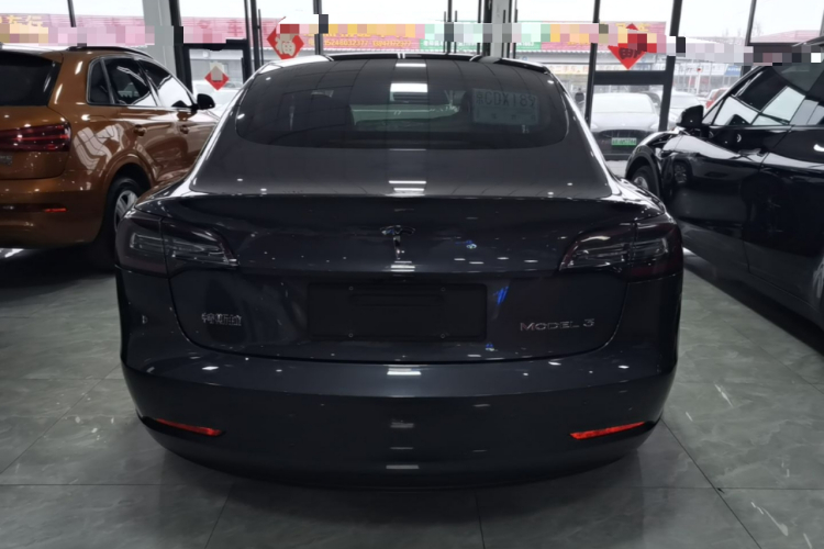 Tesla Model 3 2020 car image #6
