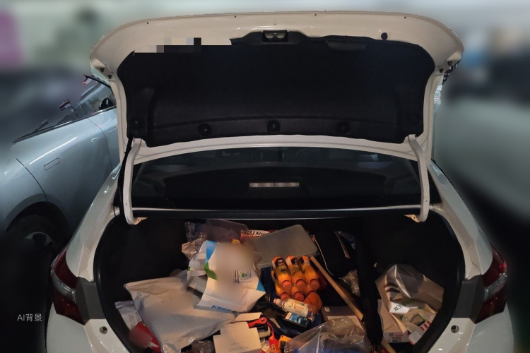 Toyota Corolla 2015 car image #21