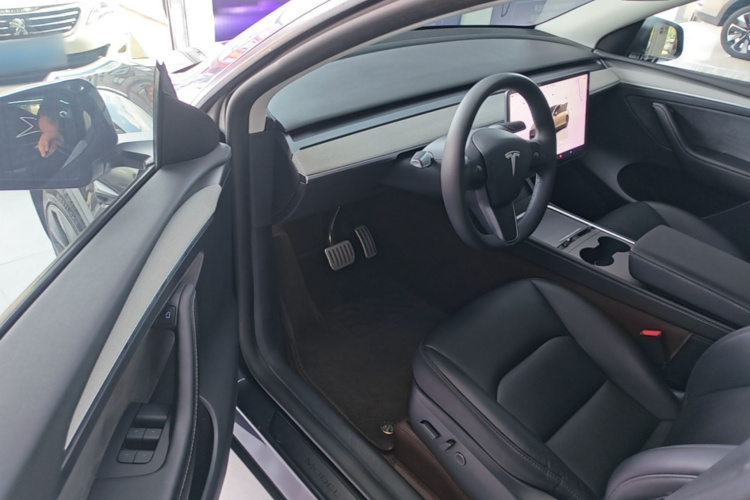 Tesla Model Y 2024 car image #16