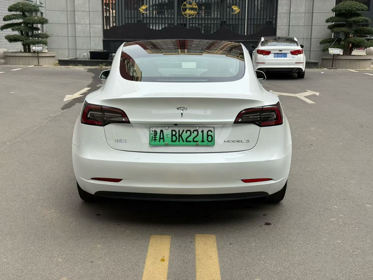 Tesla Model 3 (Imported) 2020 car image #8