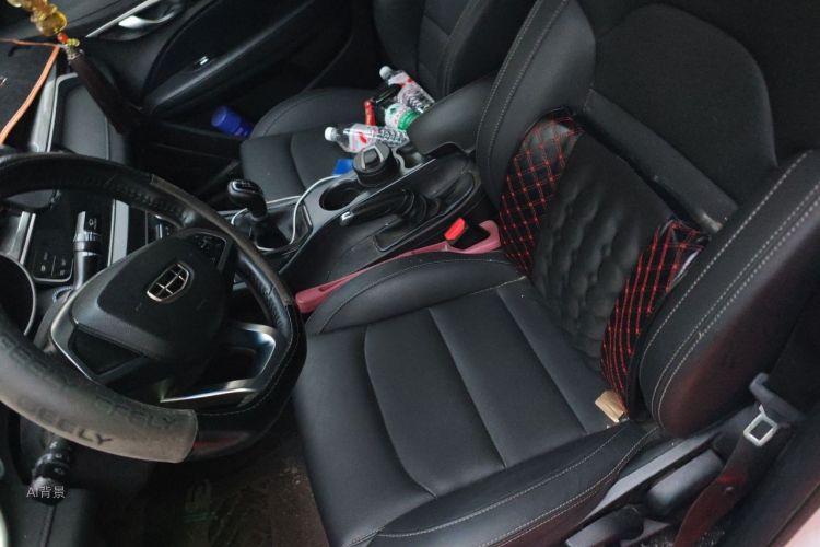GEELY Emgrand 2019 car image #17