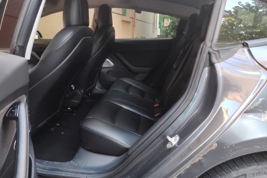 Tesla Model 3 2020 car image #19