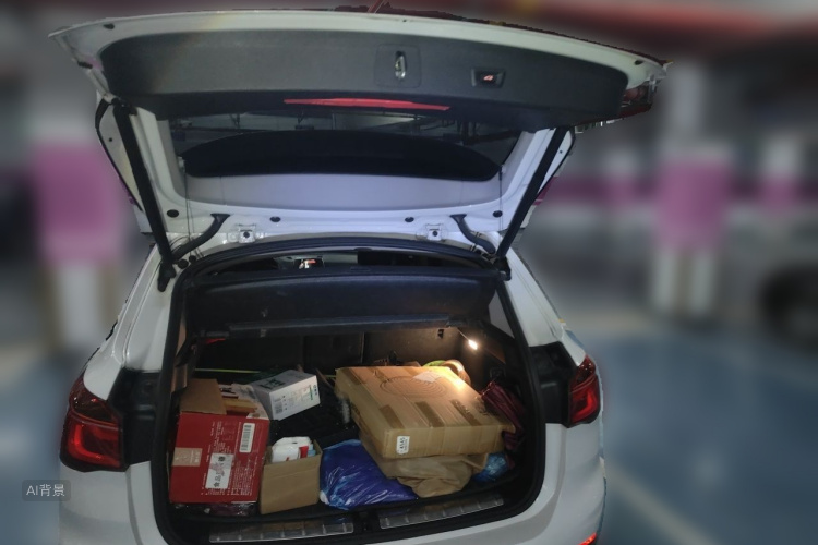 BMW X1 2017 #21 BMW X1 2017 immagine di auto #21