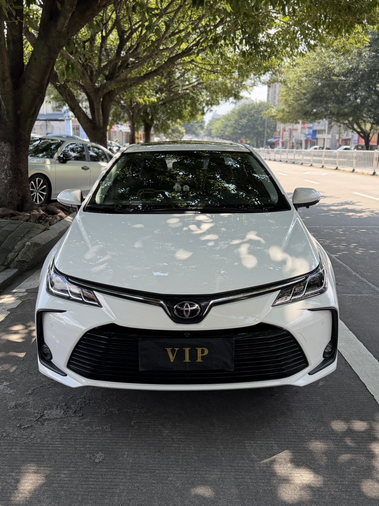 Toyota Corolla 2022 Toyota Corolla 2022 car image