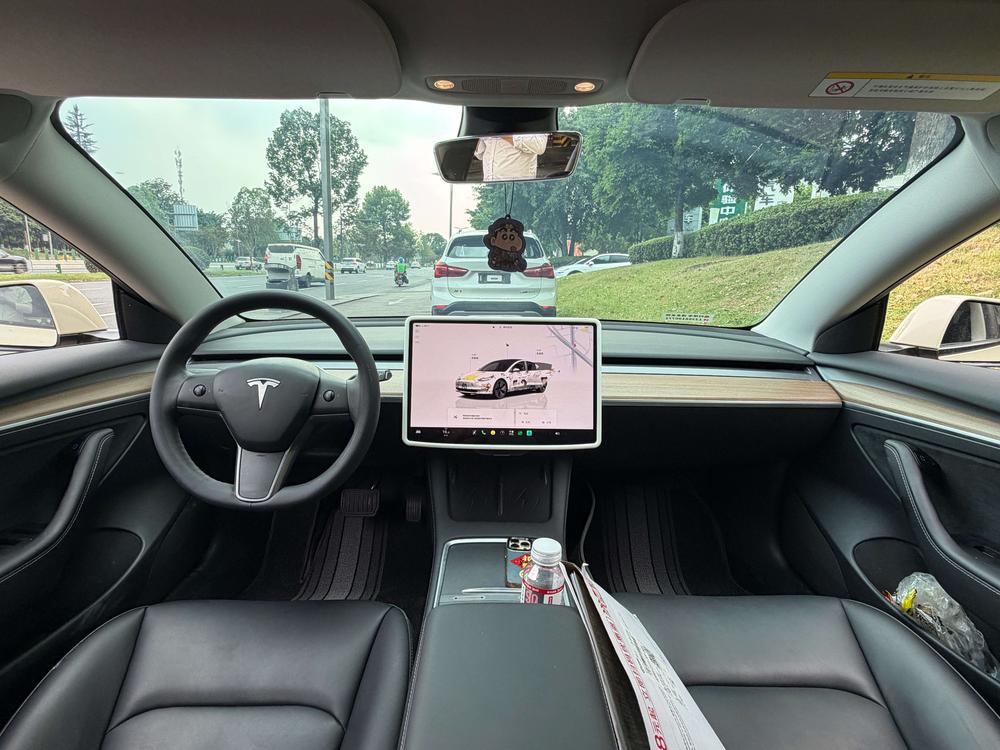 Tesla Model 3 2023 car image #8