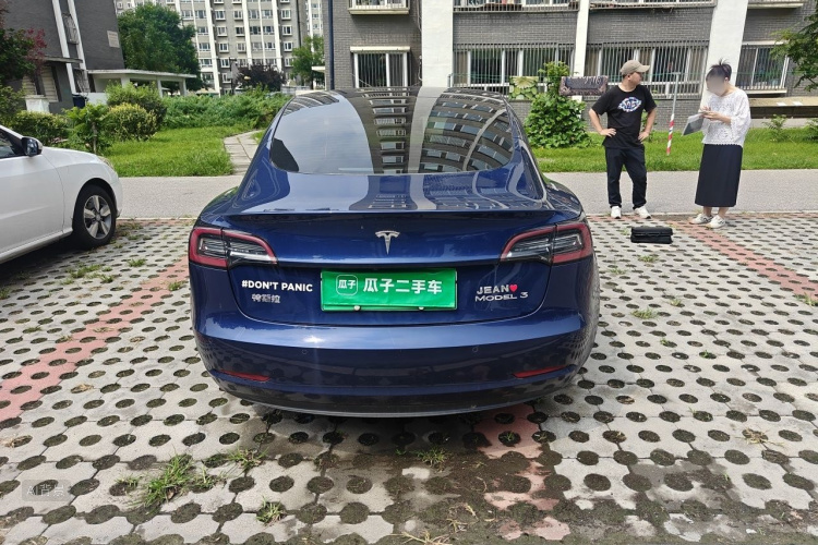 Tesla Model 3 2021 car image #6
