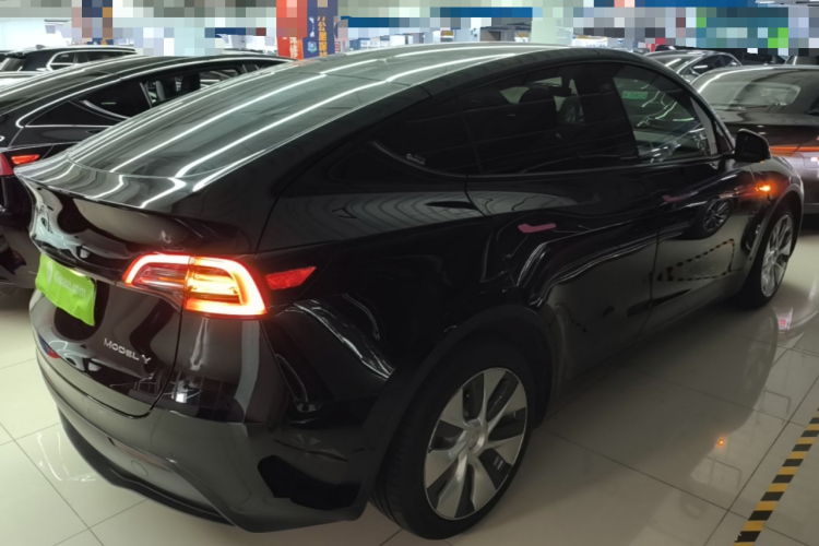 Tesla Model Y 2021 car image #7