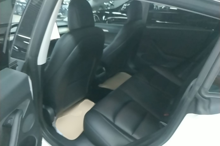 Tesla Model 3 2021 car image #13