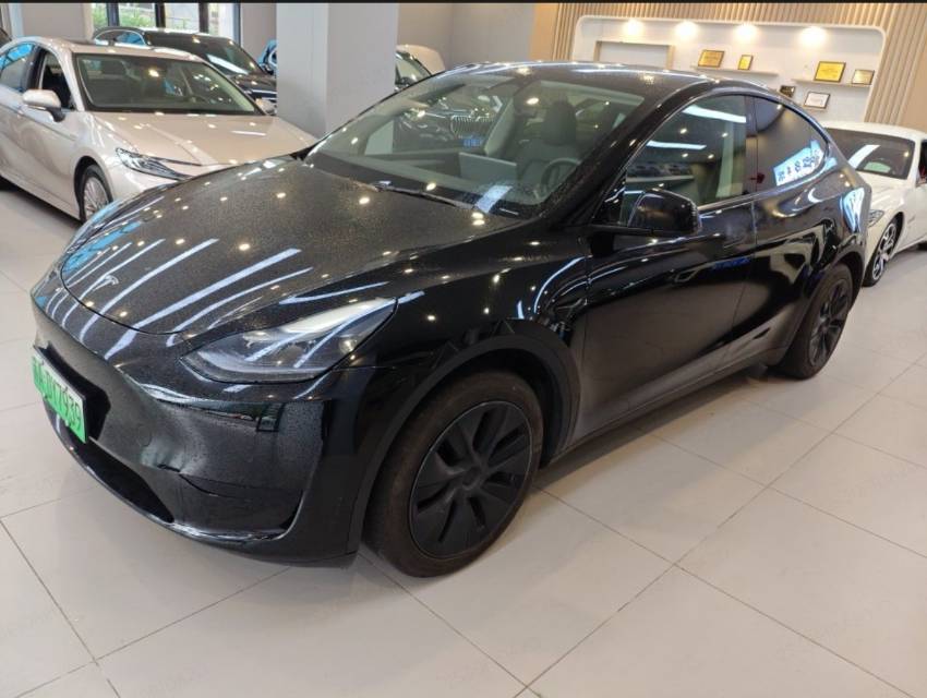 Tesla Model Y 2024 car image 