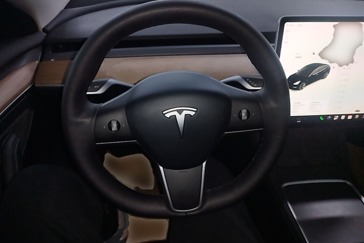 Tesla Model 3 2021 #11 Tesla Model 3 2021 car image #11