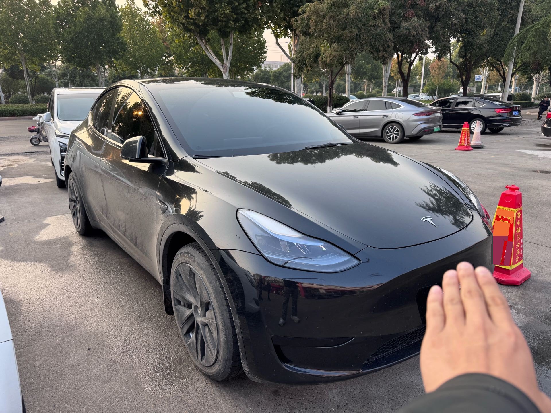 Tesla Model Y 2023 #2 Tesla Model Y 2023 imagen de coche #2