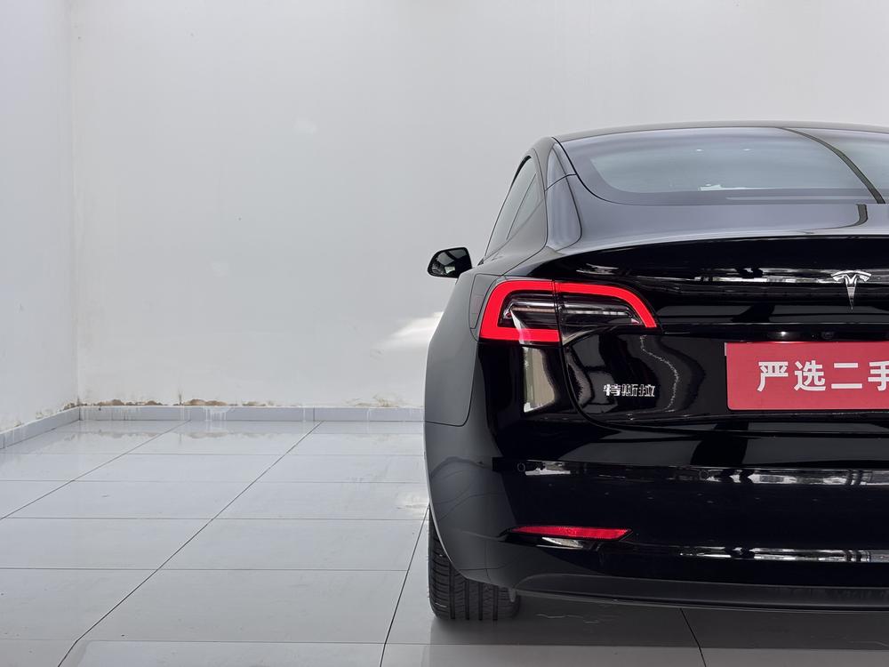 Tesla Model 3 2021 #17 Tesla Model 3 2021 car image #17