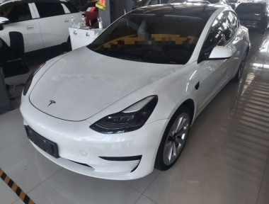 Tesla Model 3 2021 car image 