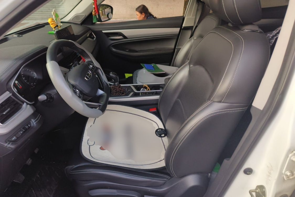 GEELY Vision X6 2020 #20 GEELY Vision X6 2020 car image #20