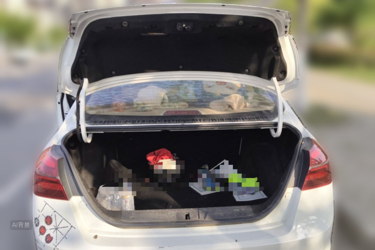 GEELY Emgrand 2019 car image #21
