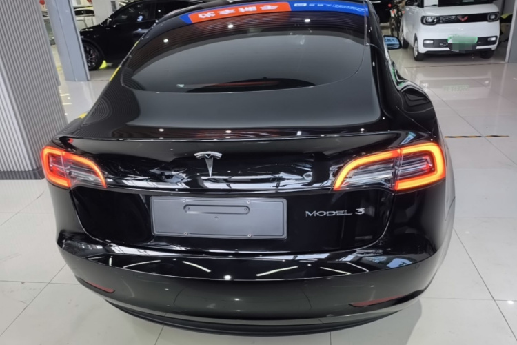 Tesla Model 3 2022 #6 Tesla Model 3 2022 car image #6