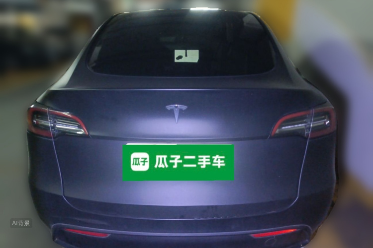 Tesla Model Y 2021 car image #6
