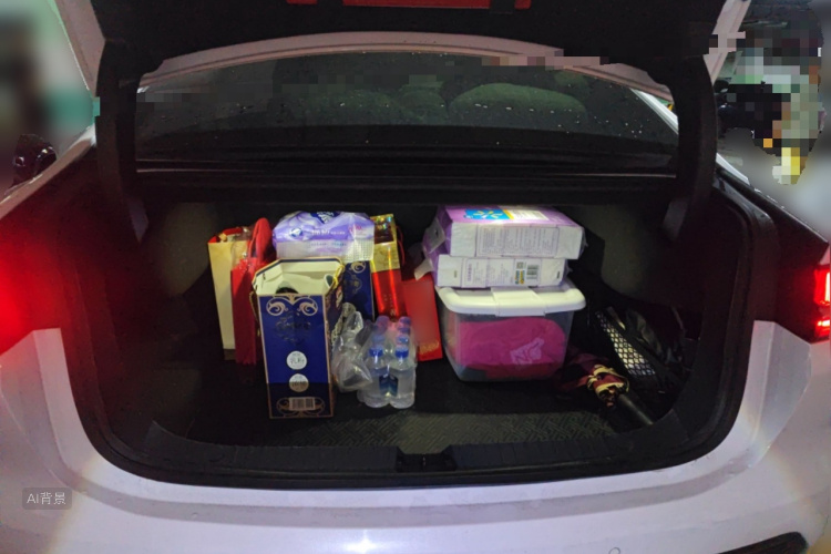 比亚迪 汉 2022 汽车图片 #21