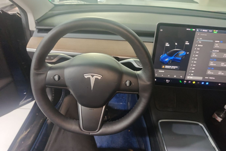 Tesla Model 3 2021 car image #11