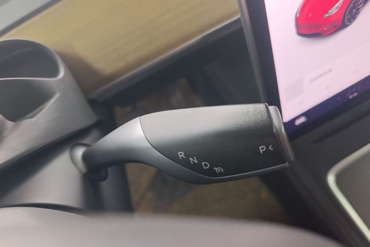 Tesla Model Y 2021 car image #14
