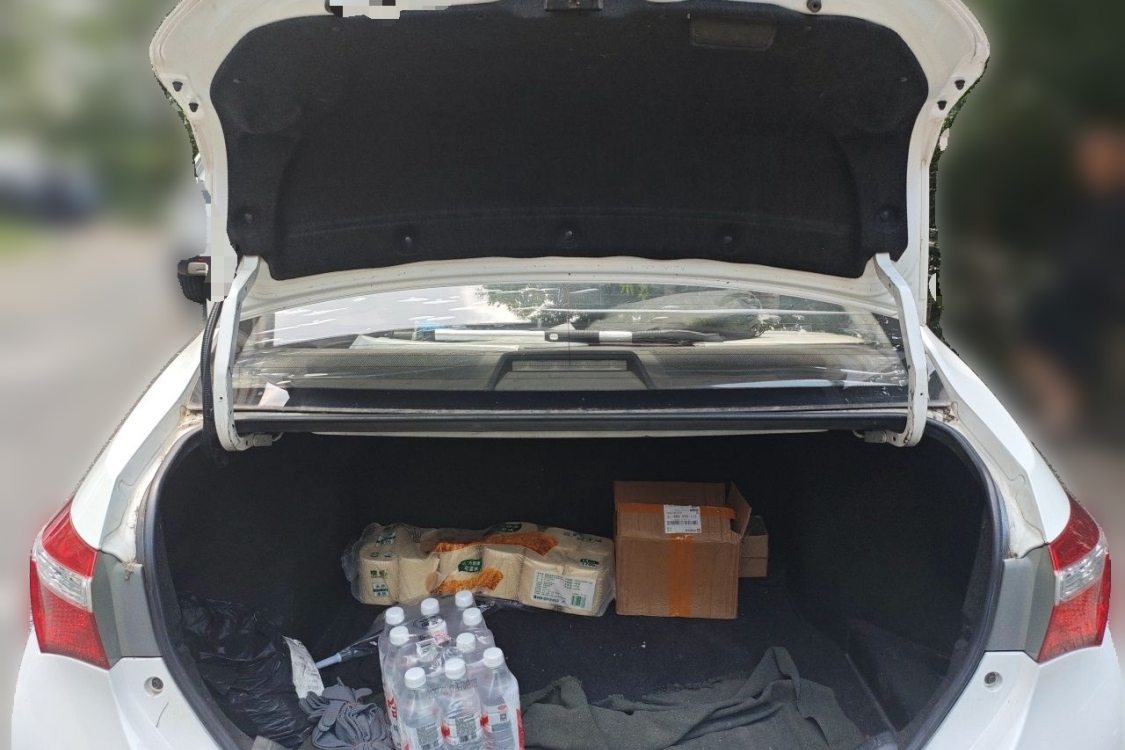Toyota Corolla 2016 car image #8