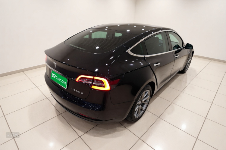 Tesla Model 3 2021 car image #7