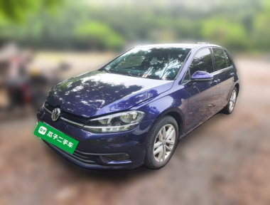 Volkswagen Golf 2019 Volkswagen Golf 2019 car image