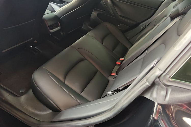 Tesla Model 3 2020 #17 Tesla Model 3 2020 car image #17