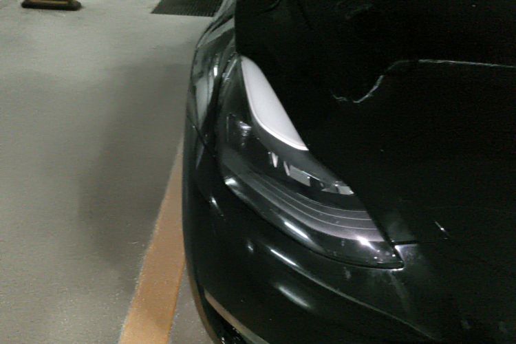 Tesla Model Y 2021 #8 Tesla Model Y 2021 car image #8