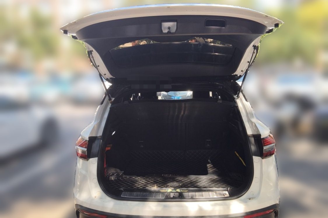 GEELY Coolray 2020 car image #8