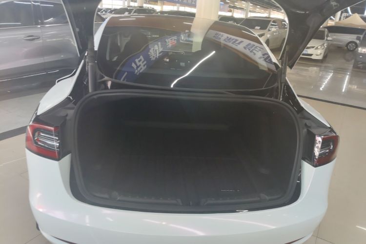 Tesla Model 3 2023 car image #19