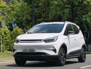 BYD Yuan Pro 2021 BYD Yuan Pro 2021 car image