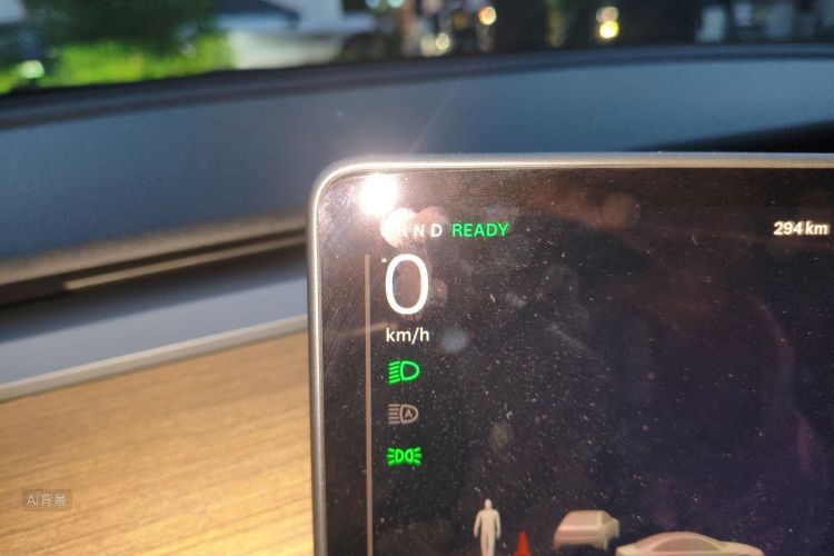 Tesla Model 3 2021 #13 Tesla Model 3 2021 صورة سيارة #13