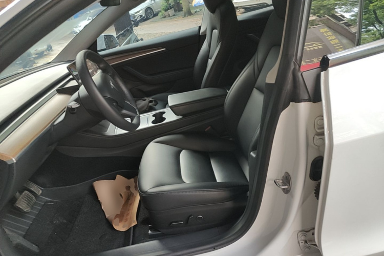 Tesla Model 3 2022 car image #15