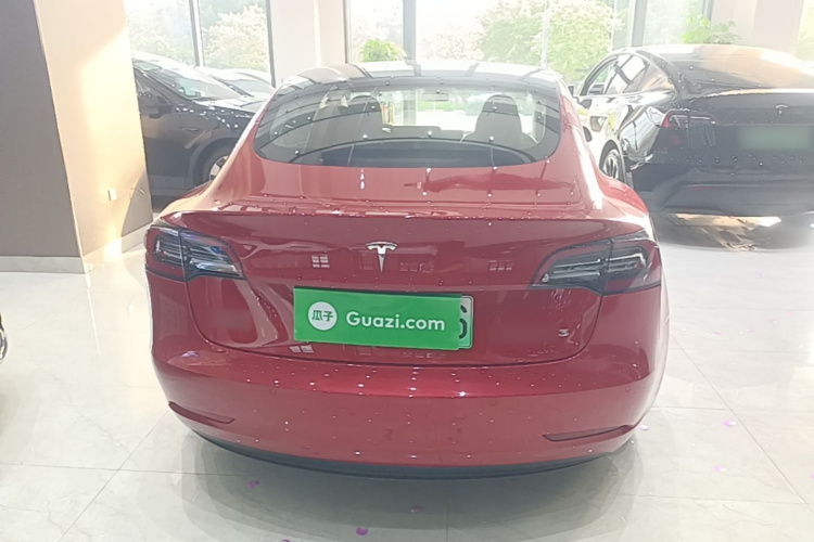 Tesla Model 3 2021 immagine di auto #6